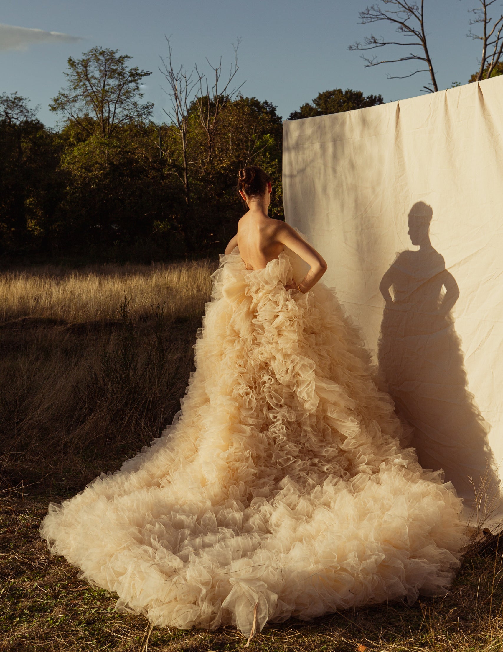 Celine Strapless Ruffle Gown With Long Train.