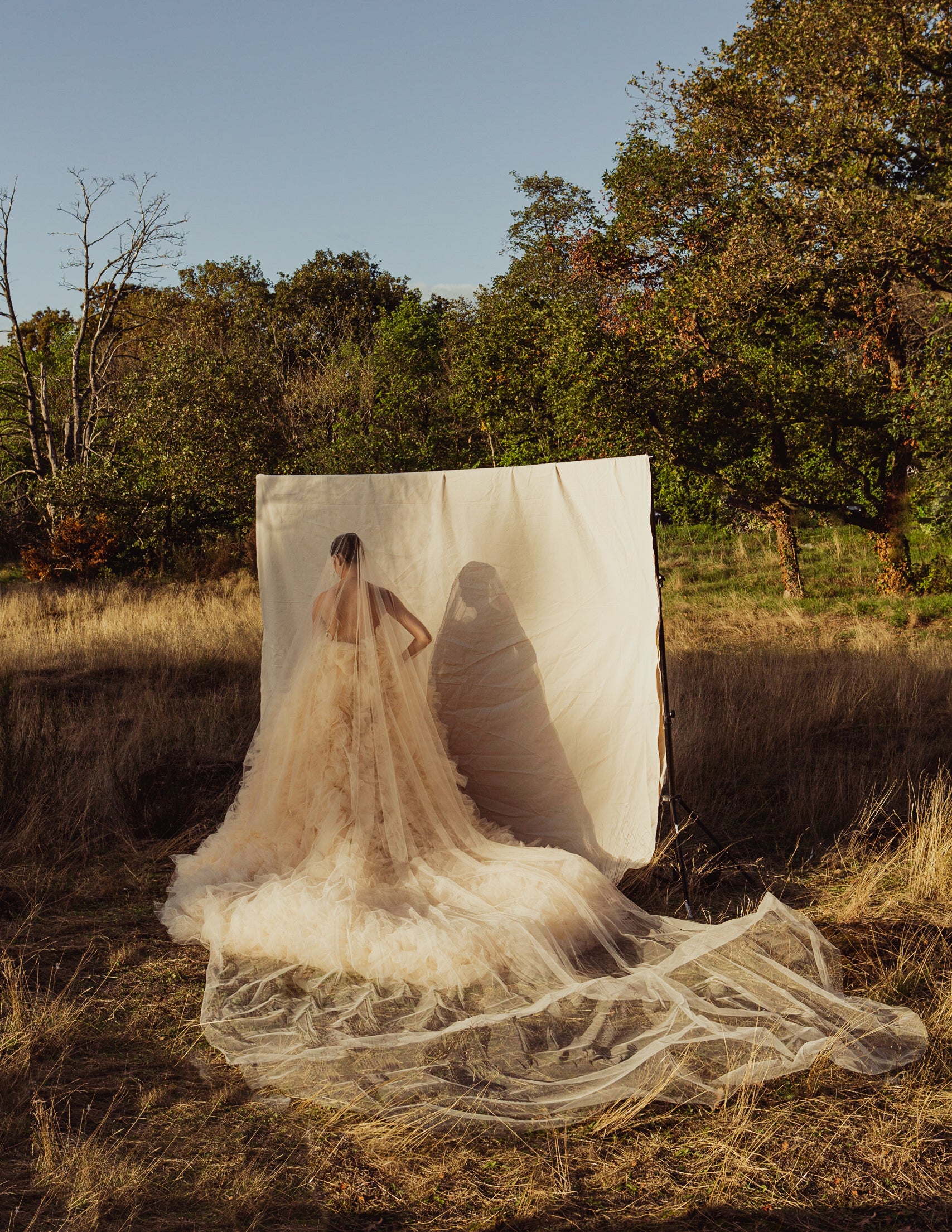 Celine Strapless Ruffle Gown With Long Train.