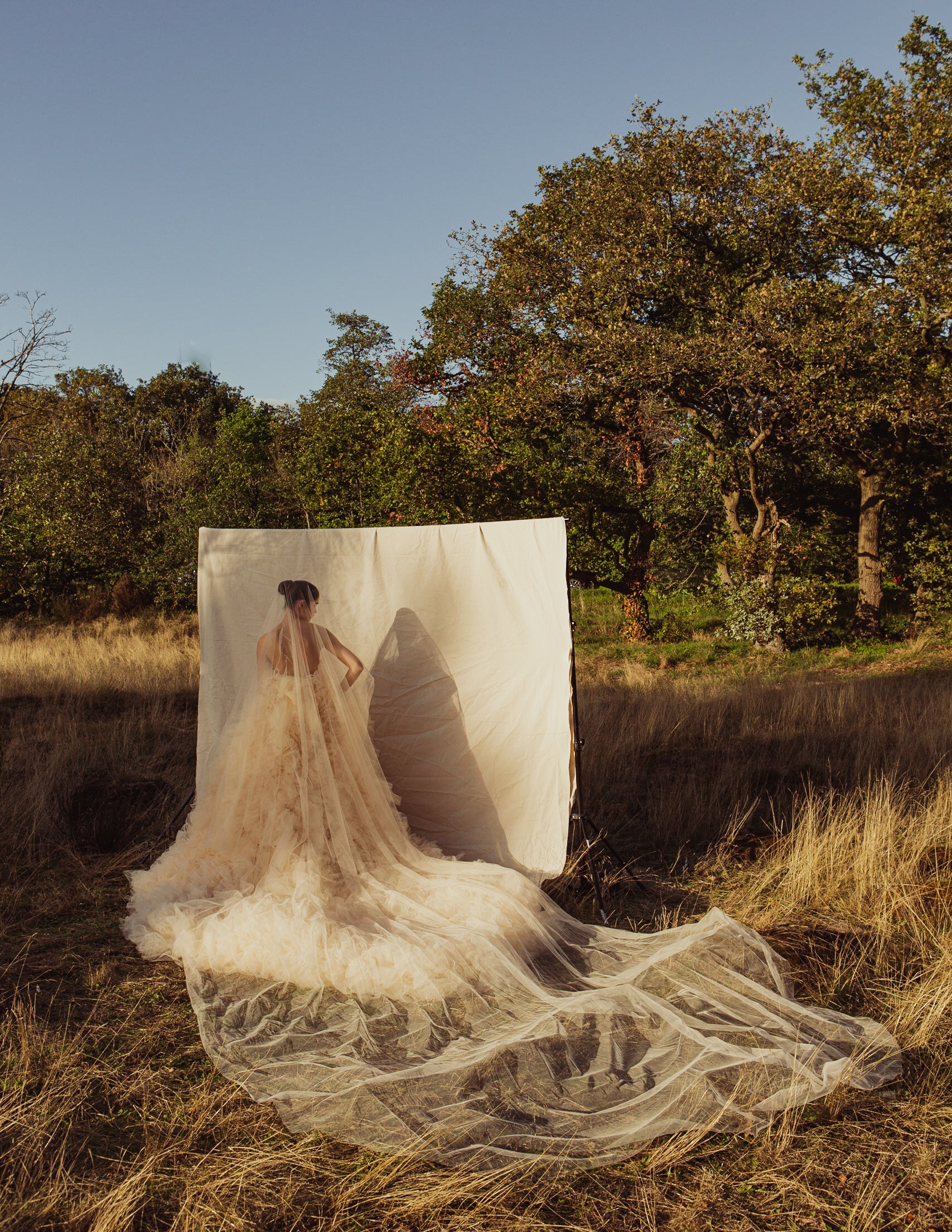 Celine Strapless Ruffle Gown With Long Train.