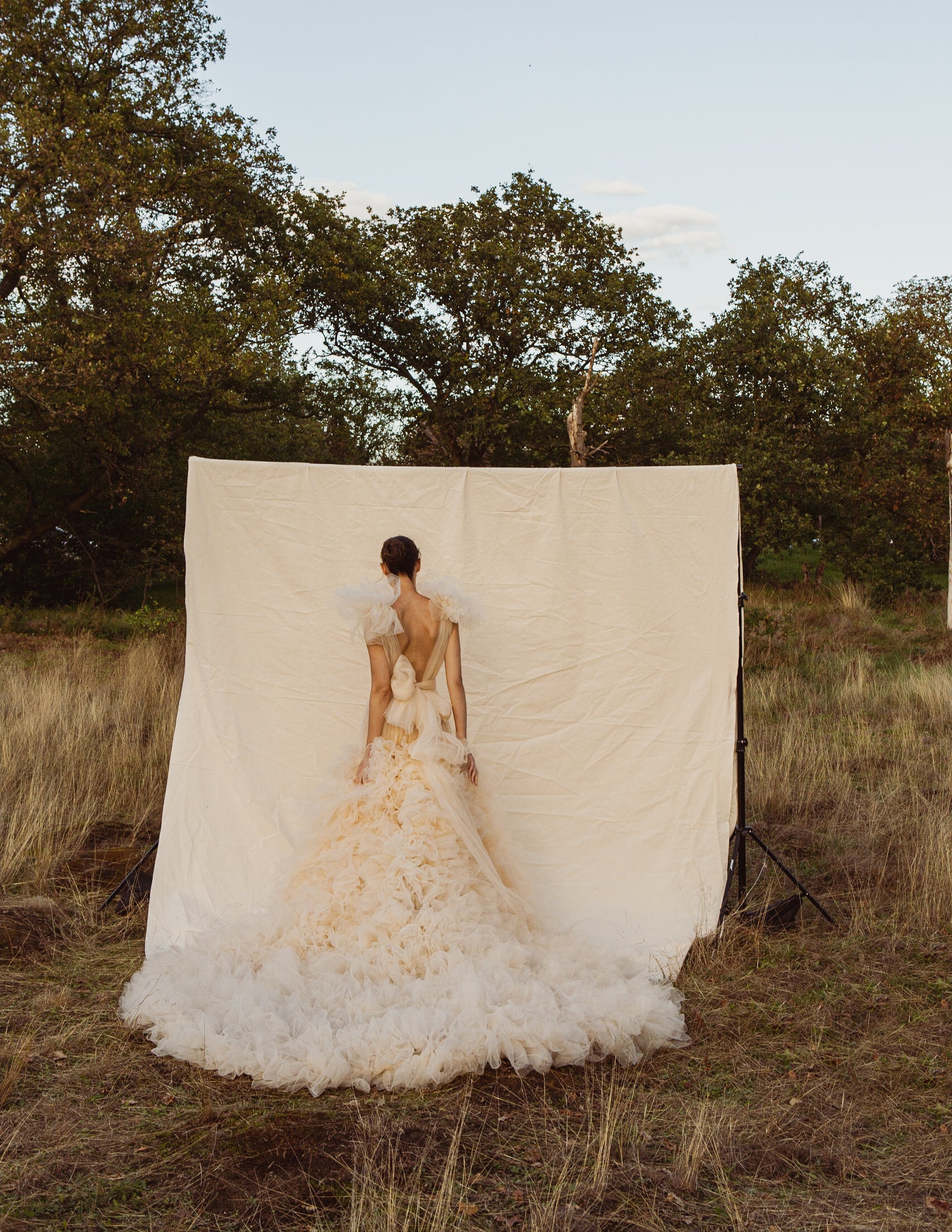 Lorenza Plunge Pleated Mermaid Tulle gown with Ruffle Tulle Skirt & Ruffle Shoulder