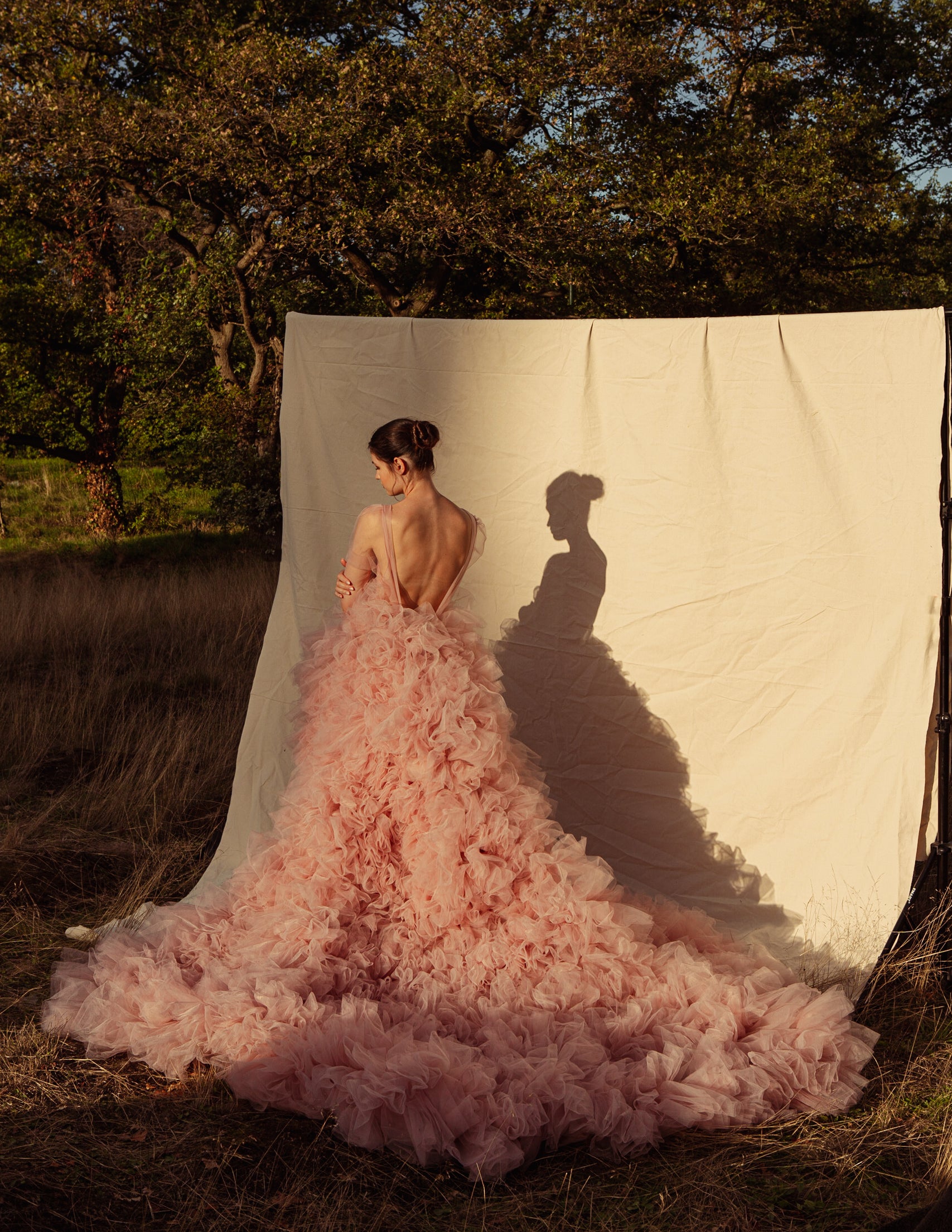 Rosaline Plunge Long sleeve High Low Ruffle Gown.