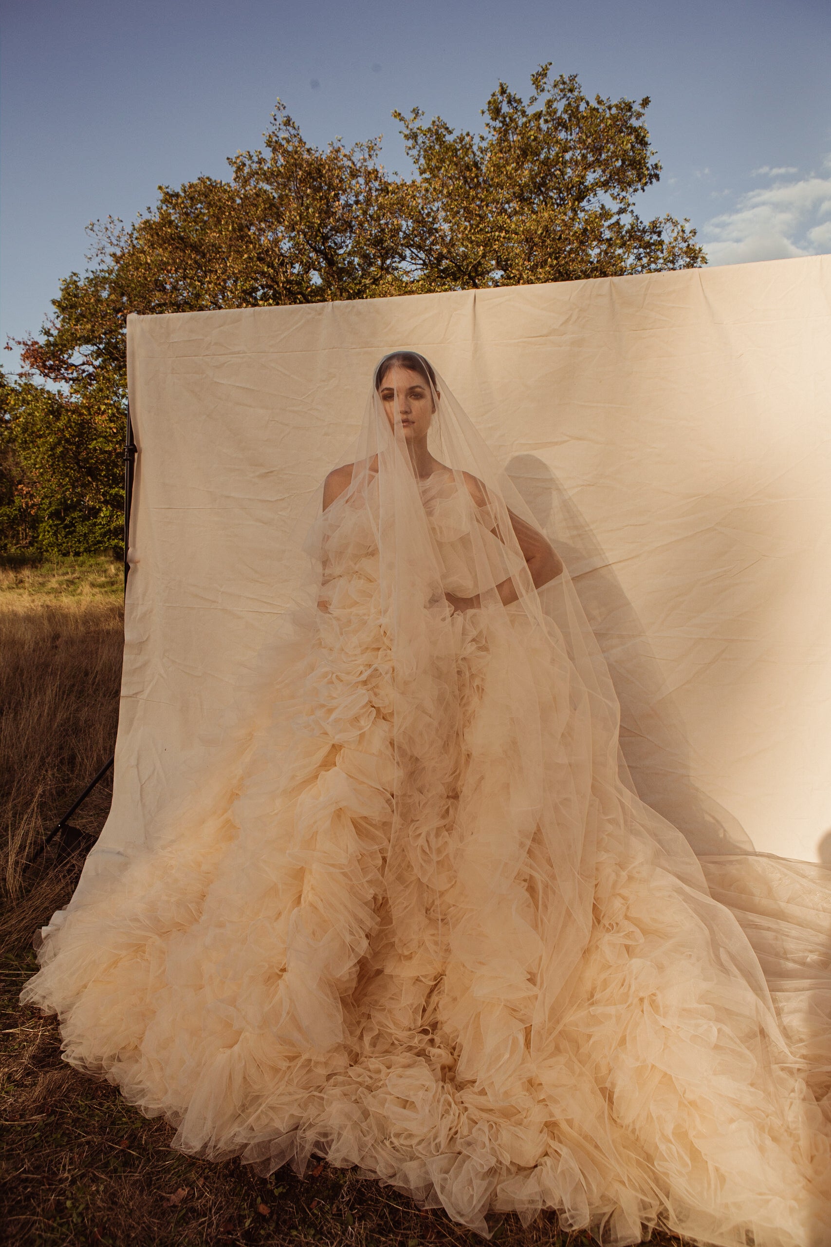 Celine Strapless Ruffle Gown With Long Train.