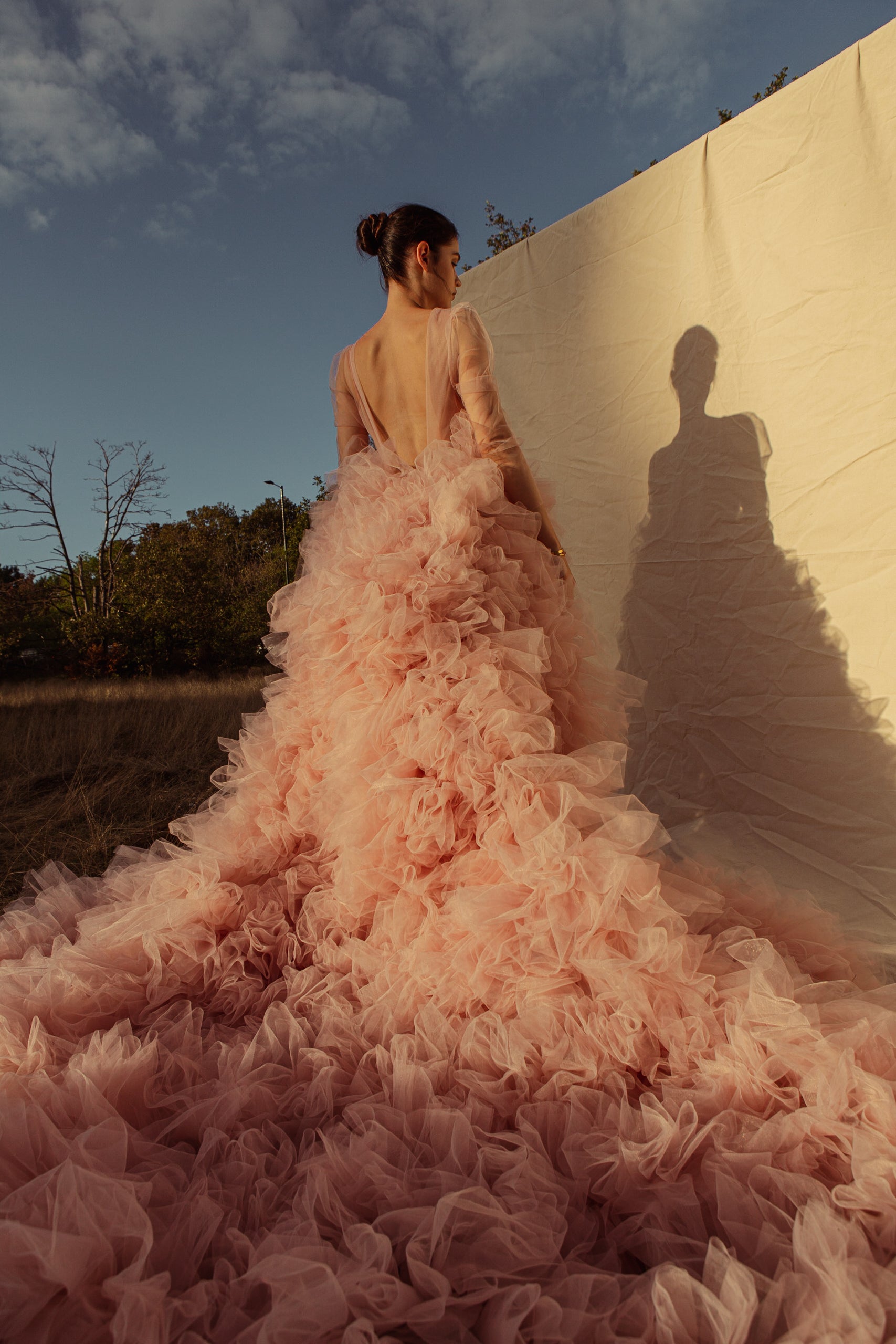 Sample Sale Rosaline Plunge Long sleeve High Low Ruffle Gown